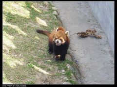 -西安秦岭野生动物园