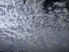 -北京园博大酒店