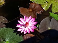 -海南热带野生动植物园