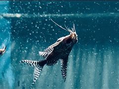 -苏州海洋馆
