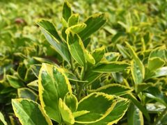 -苏州河梦清园环保主题公园