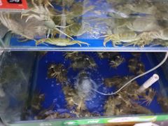 -阳澄湖大闸蟹·琼灵阁牌品牌连锁(吴中总店)