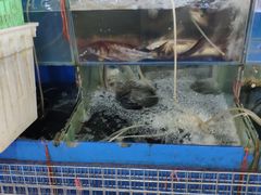 -四道口水产市场