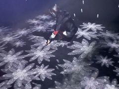 -上海市普陀区文化馆