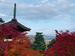 -常寂光寺