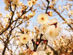 -蜀冈西峰生态公园