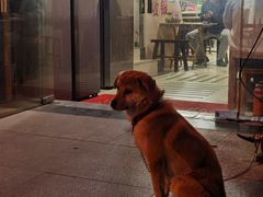 -霍元甲烧烤(江城商务大楼店)