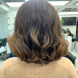 -潘多拉Hairsalon