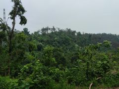 -青龙山国家森林公园