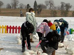 -绿野森林乐园冰雪季