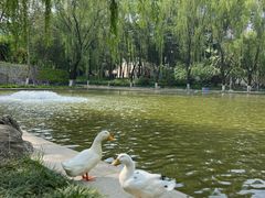 -西安市长乐公园