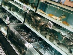 -盒马鲜生(顺义店)
