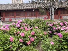 -大钟寺古钟博物馆