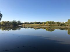 -大兴滨河森林公园