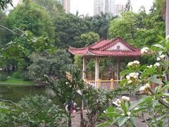 -晓港公园