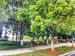 景点-昆山城市生态森林公园