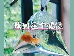 -湖北美术学院(昙华林校区)