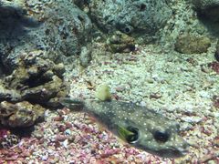 -福州罗源湾海洋世界旅游区