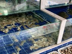 水产区-常家活海鲜小吃(仅一家无分店)