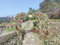 -广东天露山旅游度假区