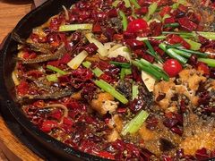 -老板恋上鱼(恒隆广场店)