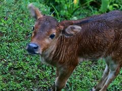 -全国青少年井冈山革命传统教育基地