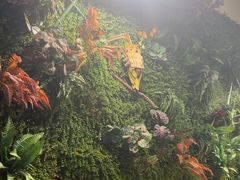 -味之绝热血美蛙鱼火锅(中坝店)