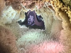 -湖南省地质博物馆