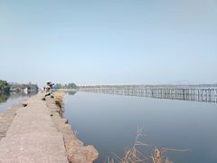 -绍兴镜湖国家城市湿地公园