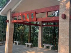 -火炉山森林公园