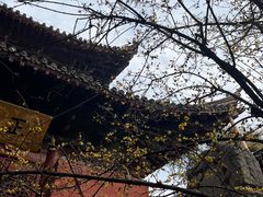 -洛阳白马寺