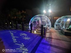 -上海崇明金茂凯悦酒店