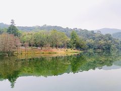-广州市白云山风景名胜区