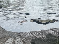 -荔湾湖公园