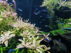 -上海海洋水族馆
