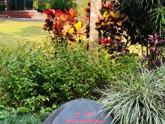-中国科学院西双版纳热带植物园