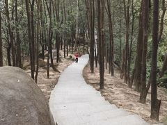 -火炉山森林公园