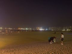 -莫内艺术岛海景咖啡