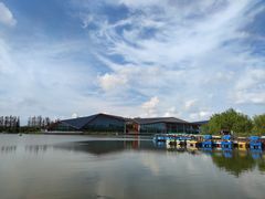 -上海长兴岛郊野公园