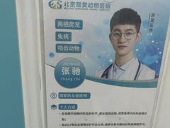 -北京观赏动物医院·24小时大型综合·猫专科·异宠专科