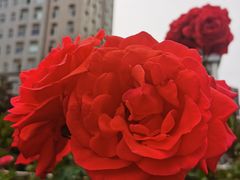 -半秋山西餐厅(巴南万达广场店)