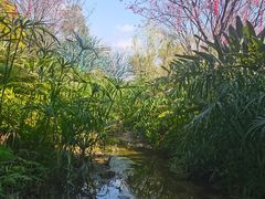 -牛岗山公园