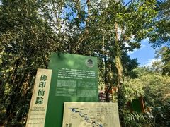 -莫里热带雨林景区