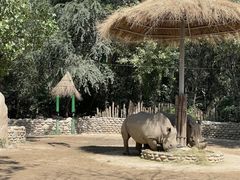 -北京野生动物园