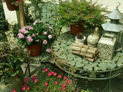 android_upload_pic-威廉的太妃糖酒店(杭州西湖青芝坞店)
