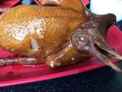 -光明刘冰乳鸽店(光明法政北路店)