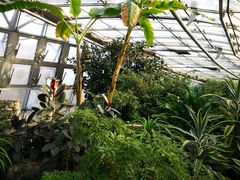 -北京植物园-展览温室