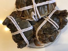 -黄记大闸蟹专卖店·活蟹·醉蟹