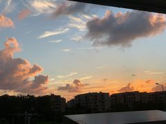 -浦江镇(地铁站)