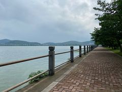 -无锡蠡湖国家湿地公园-蠡园